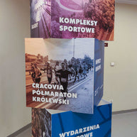 Würfel Display XXL